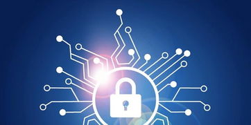 这个夏天，守护数字世界的六个安全小建议 | 聚焦网络与信息安全软件开发